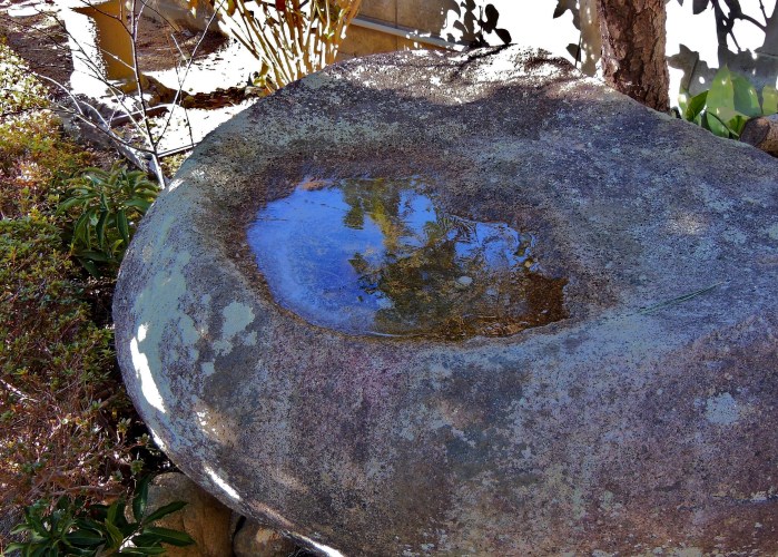 水盤の氷