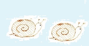 カタツムリ.jpg