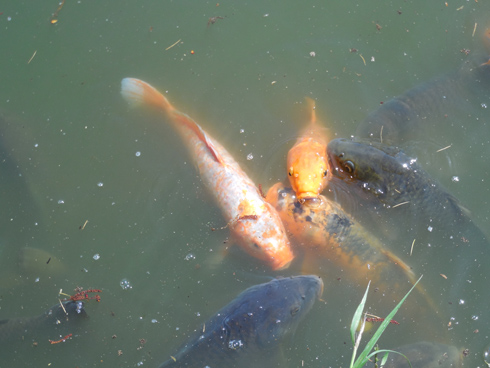 DSCN5614.JPG