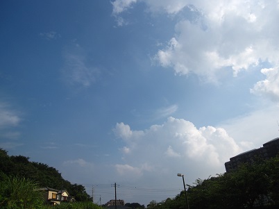IMG_2150.JPG