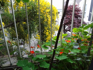 DSC00836.jpg