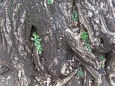 DSC_2807.jpg
