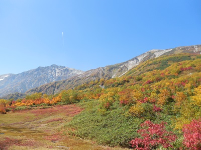 栂池３.jpg