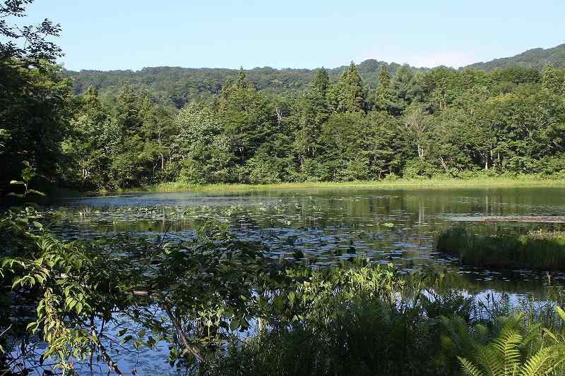 IMG_3035 (800x533).jpg