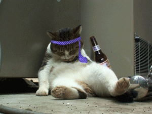 img134f861ezikfzj.gif