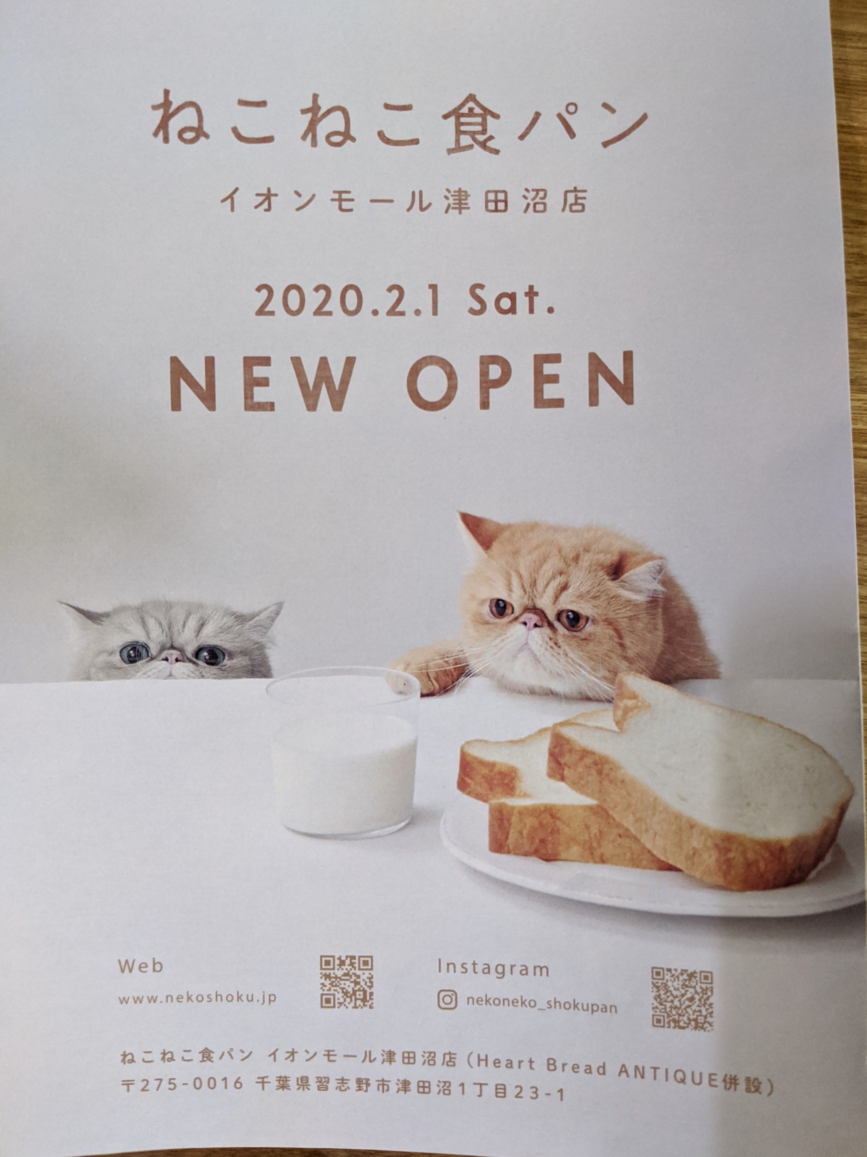 オールハーツカンパニー ねこねこ食パン イオンモール津田沼店　OPENちらし