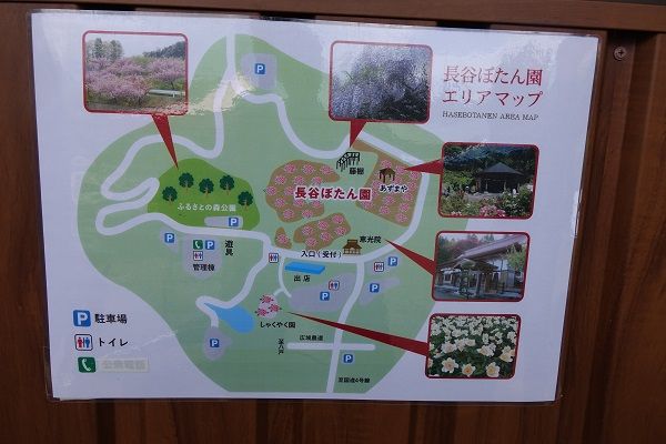 雨上がりの牡丹園長谷ぼたん園にいったよ 青森県南部町 げんそうてきなの旅行と花 一部栽培している野菜とパッチワーク 楽天ブログ