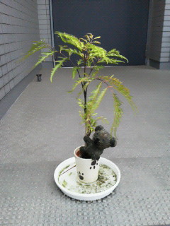 201209220600001.jpg