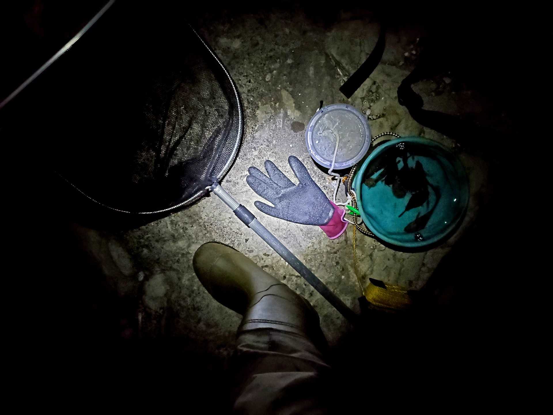 6ページ目の記事一覧 魚と日常ブログ 楽天ブログ