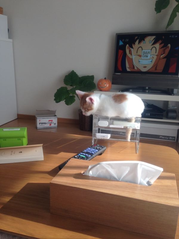 rblog-20161123131926-00.jpg