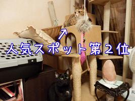 人気スポット.JPG