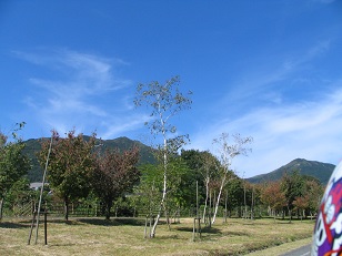 IMG_6821.JPG