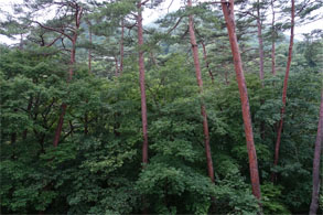 佳松園149.jpg