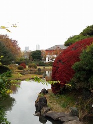 日本庭園.jpg