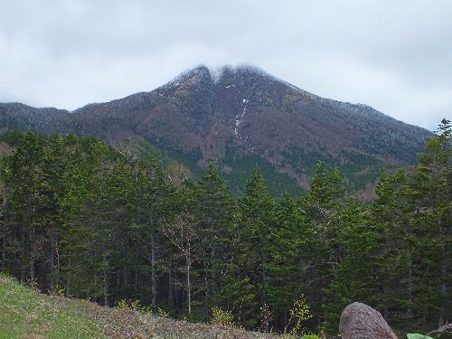 誰でも楽しく遊べる日光白根山 やっぱり山と花が好き 楽天ブログ