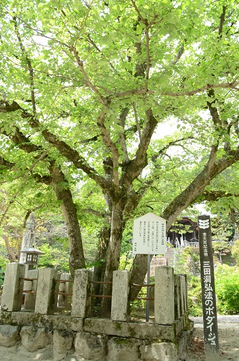 写真４.JPG