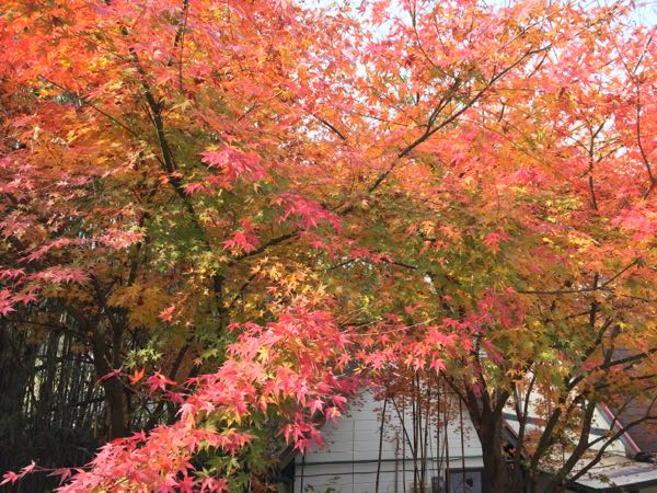 rblog-20161212192732-07.jpg