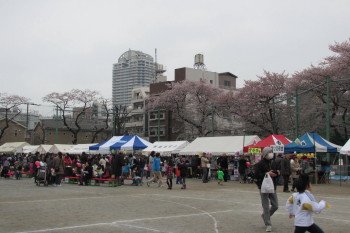 kaijou