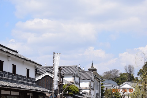 DSC_0242.jpg