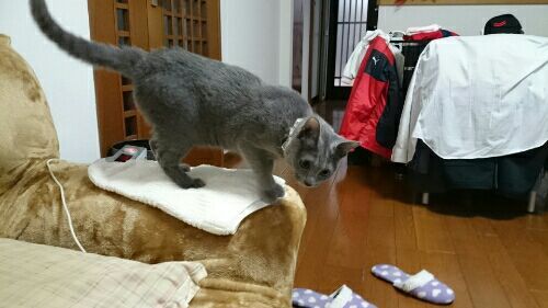 rblog-20170222182134-02.jpg