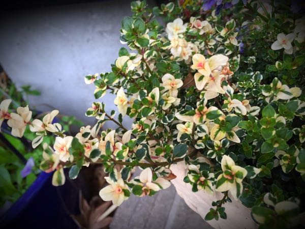 rblog-20160328172920-00.jpg