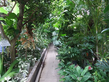 下賀茂熱帯植物園　20160403-1