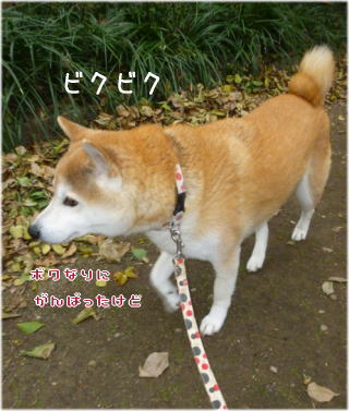 0102初詣2.jpg