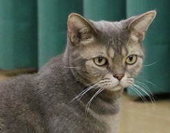 7D2_0863-19.jpg