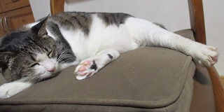 IMG_0041ss.jpg