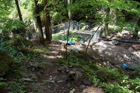 DSC03522.JPG