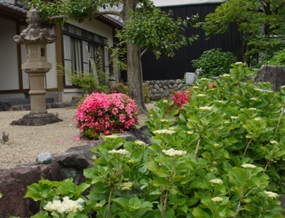 あじさい寺１４