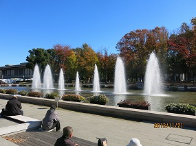 紅葉 131121-581b.jpg