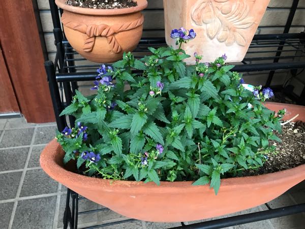 rblog-20190423182021-09.jpg