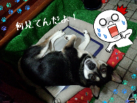 rblog-20130616094214-00.png