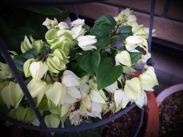 rblog-20160630185104-05.jpg