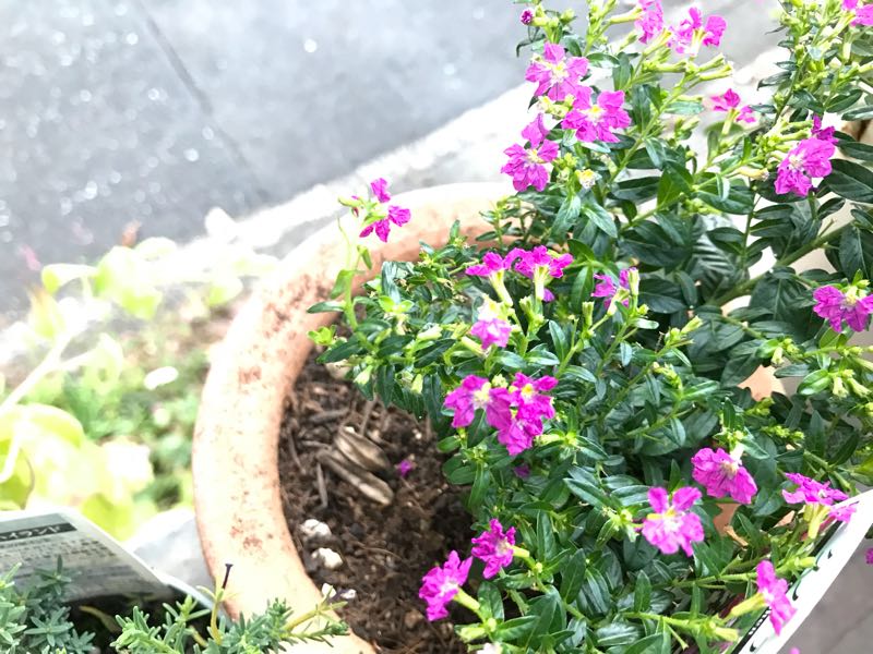 rblog-20181023165118-02.jpg