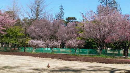 rblog-20160326092804-03.jpg