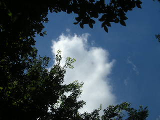 SSCN2872.JPG
