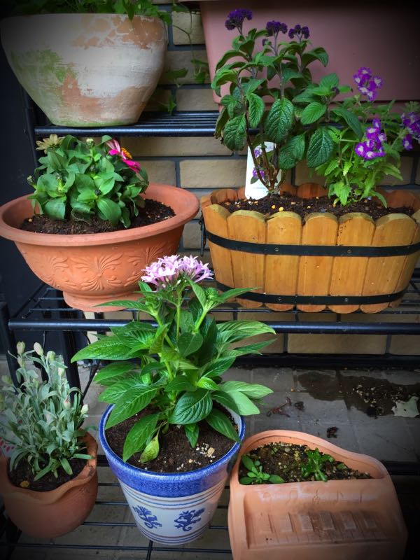 rblog-20150531144709-03.jpg