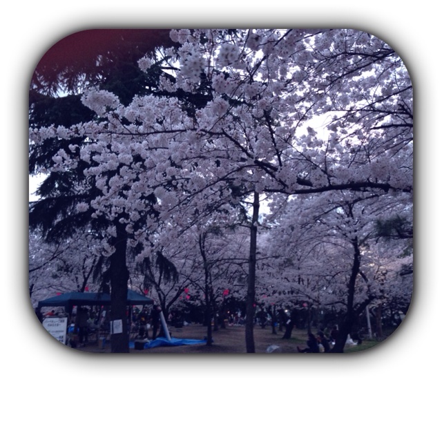 rblog-20130401150235-00.jpg