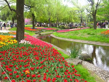 IMG_3642f.JPG