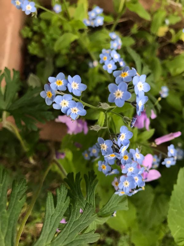 rblog-20190423182540-09.jpg