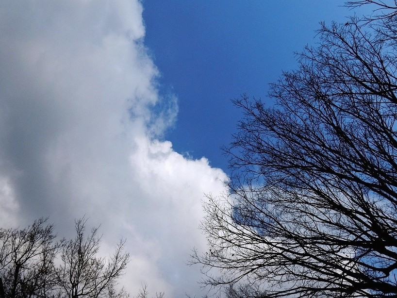 空