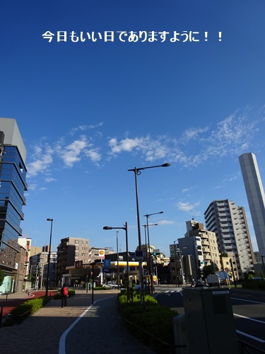 DSC09039.JPG