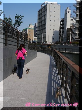 P1110757.jpg