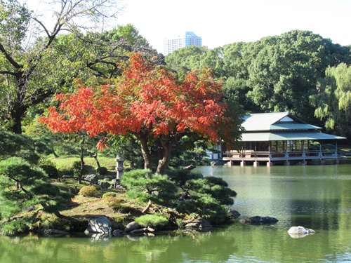 清澄庭園にて