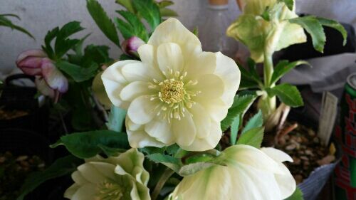 rblog-20170223085401-04.jpg