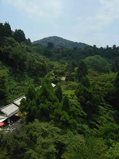 DSC_0367.JPG