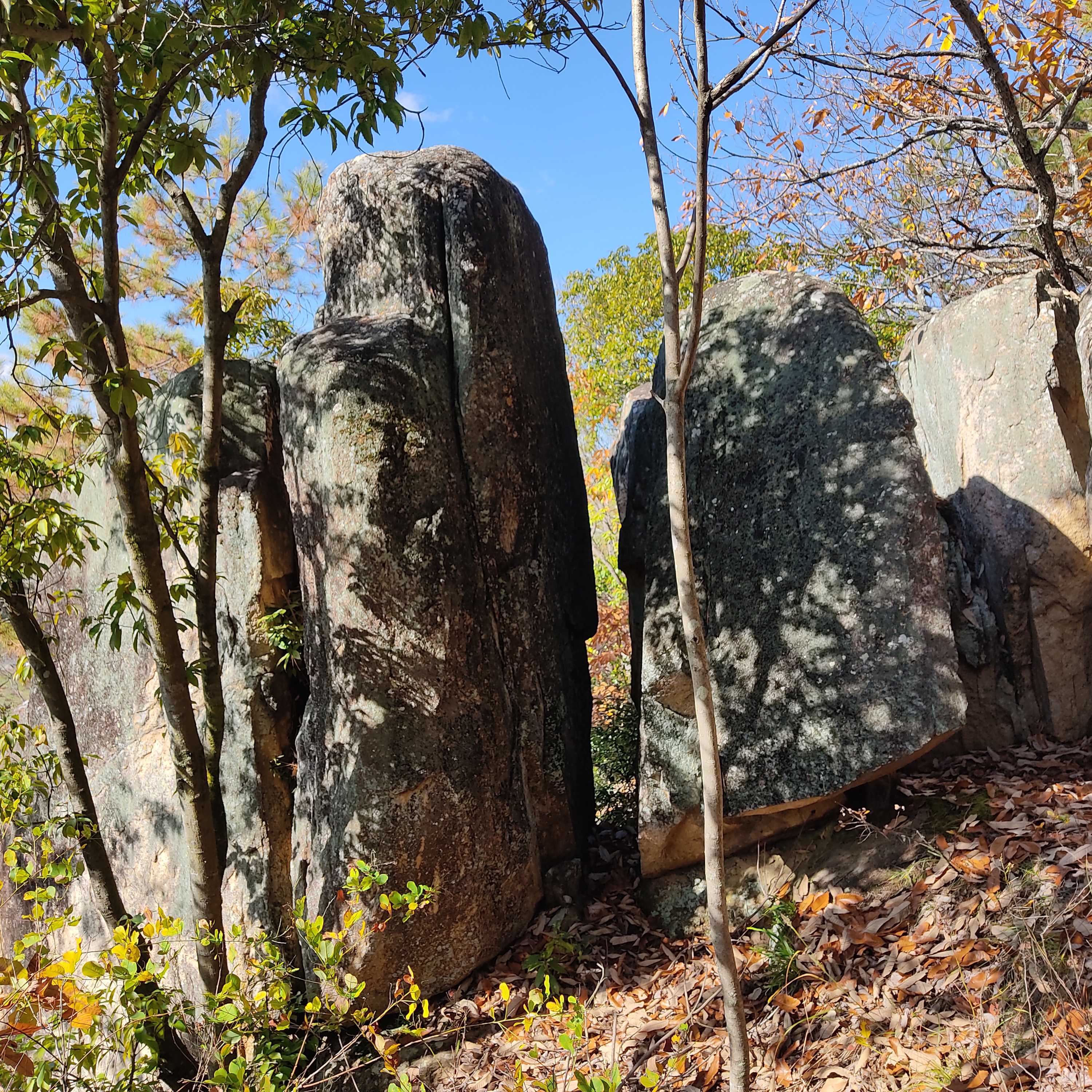 岡山県岡山市北区矢坂山の巨石群探訪その1 | megalithic Pyramid of Japan - 楽天ブログ