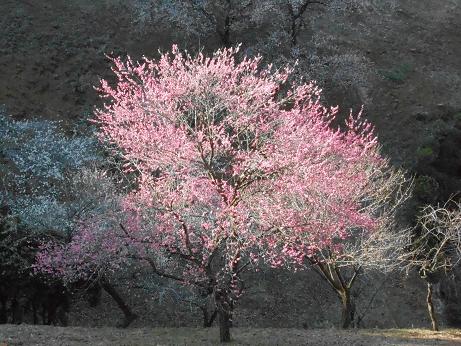 DSCN2064.jpg